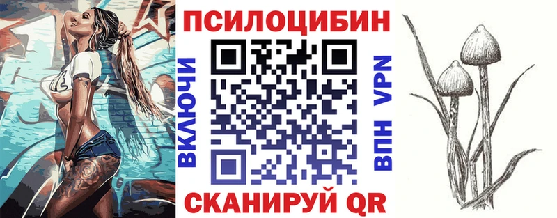 продажа наркотиков  Ясногорск  Галлюциногенные грибы прущие грибы 